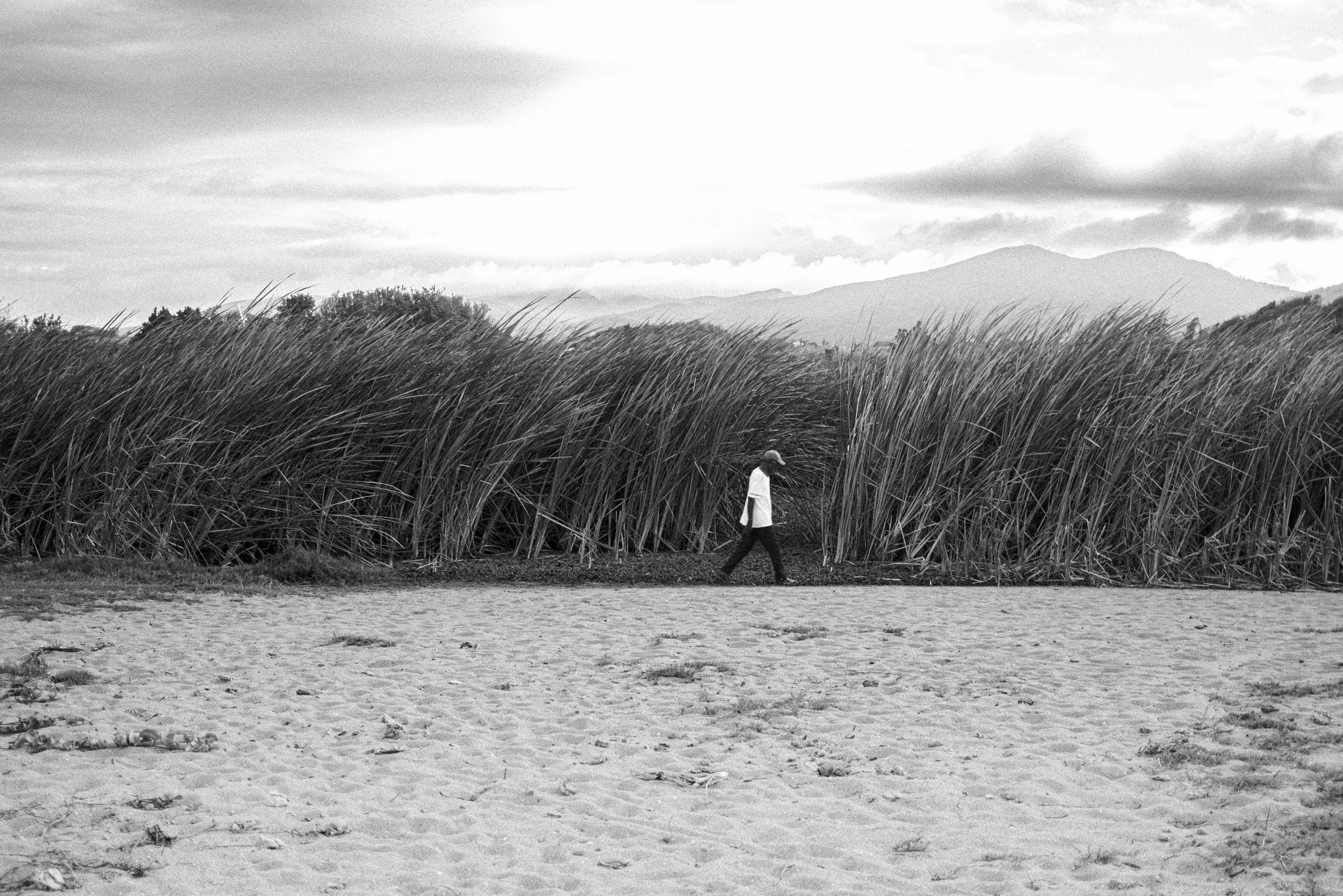 A person walking along a sandy beach with tall grass or reeds behind them, mountains in the distance, in black and white.