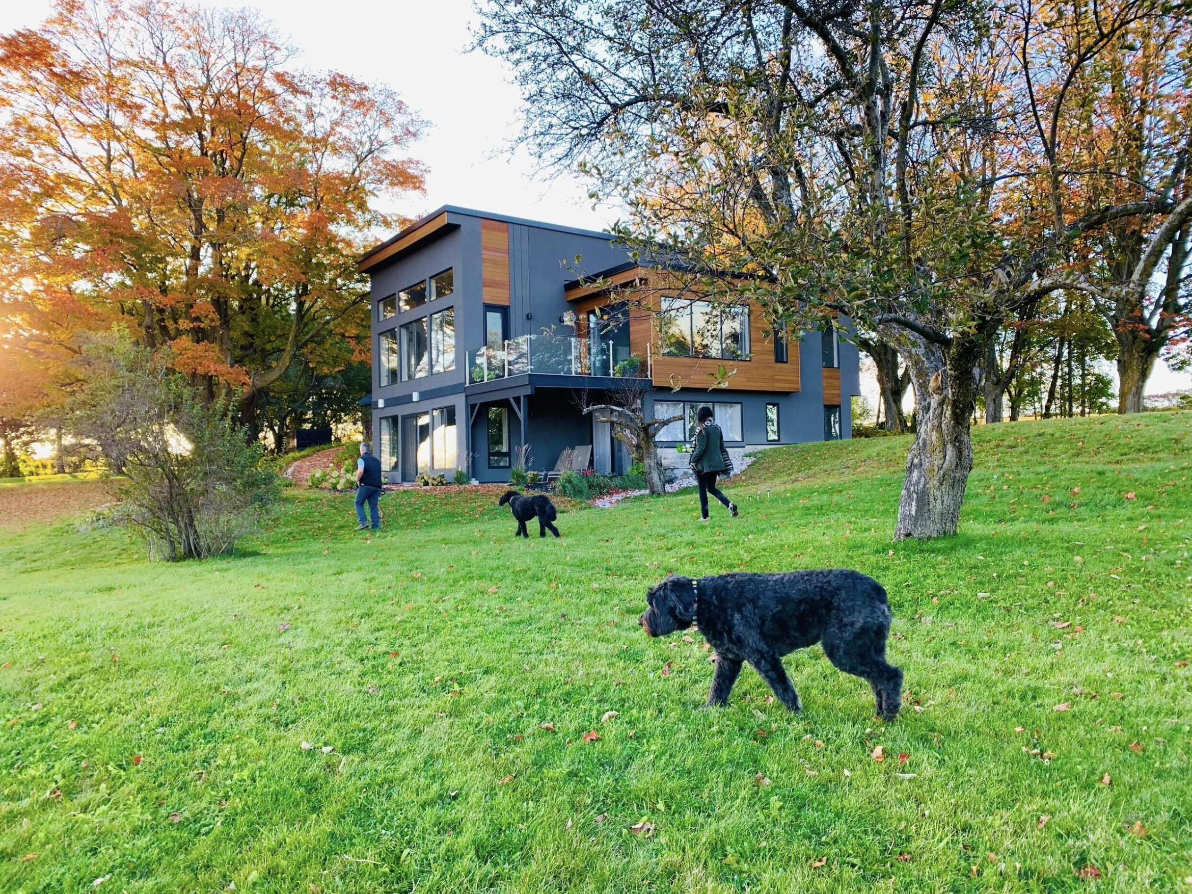 A Special, Modern Country Retreat: Andrew and Kavitha