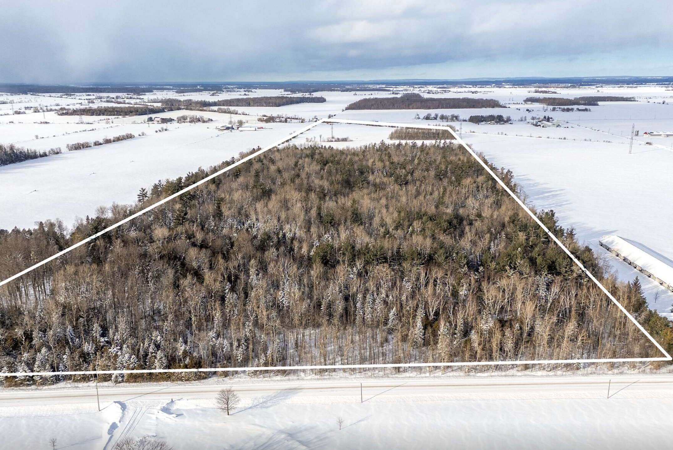 5509 Concession Road 7 - 6.png