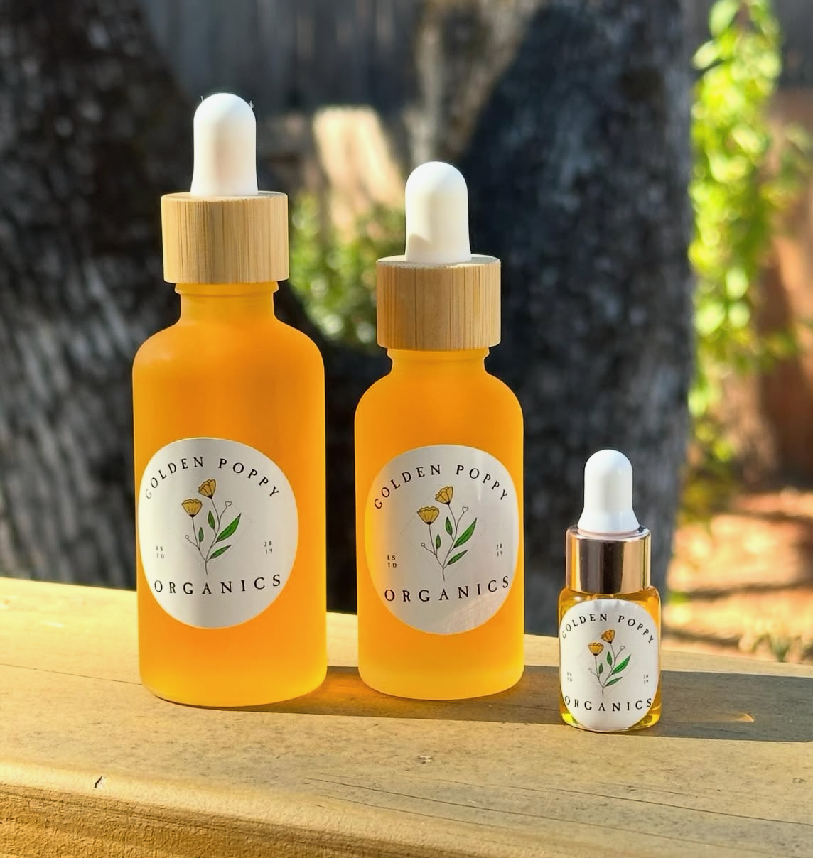 Anti-Aging Face Glow Oil | Sea Buckhorn oil | Watermelon Seed Oil
