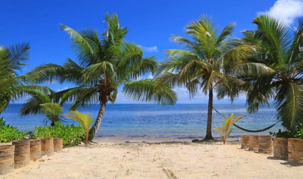 WhatsApp Image 2026-03-19 at 19.53.15-4.jpeg