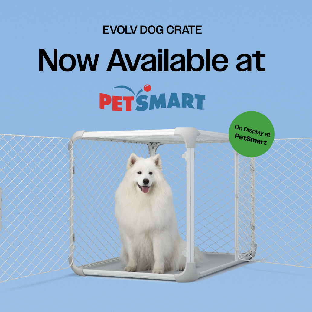 A white dog sitting inside a white pet crate with a blue background. The crate is surrounded by a white fence, and there is a green circle with black text indicating the crate is on display at PetSmart. The image promotes the EVOLV dog crate, now available at PetSmart.