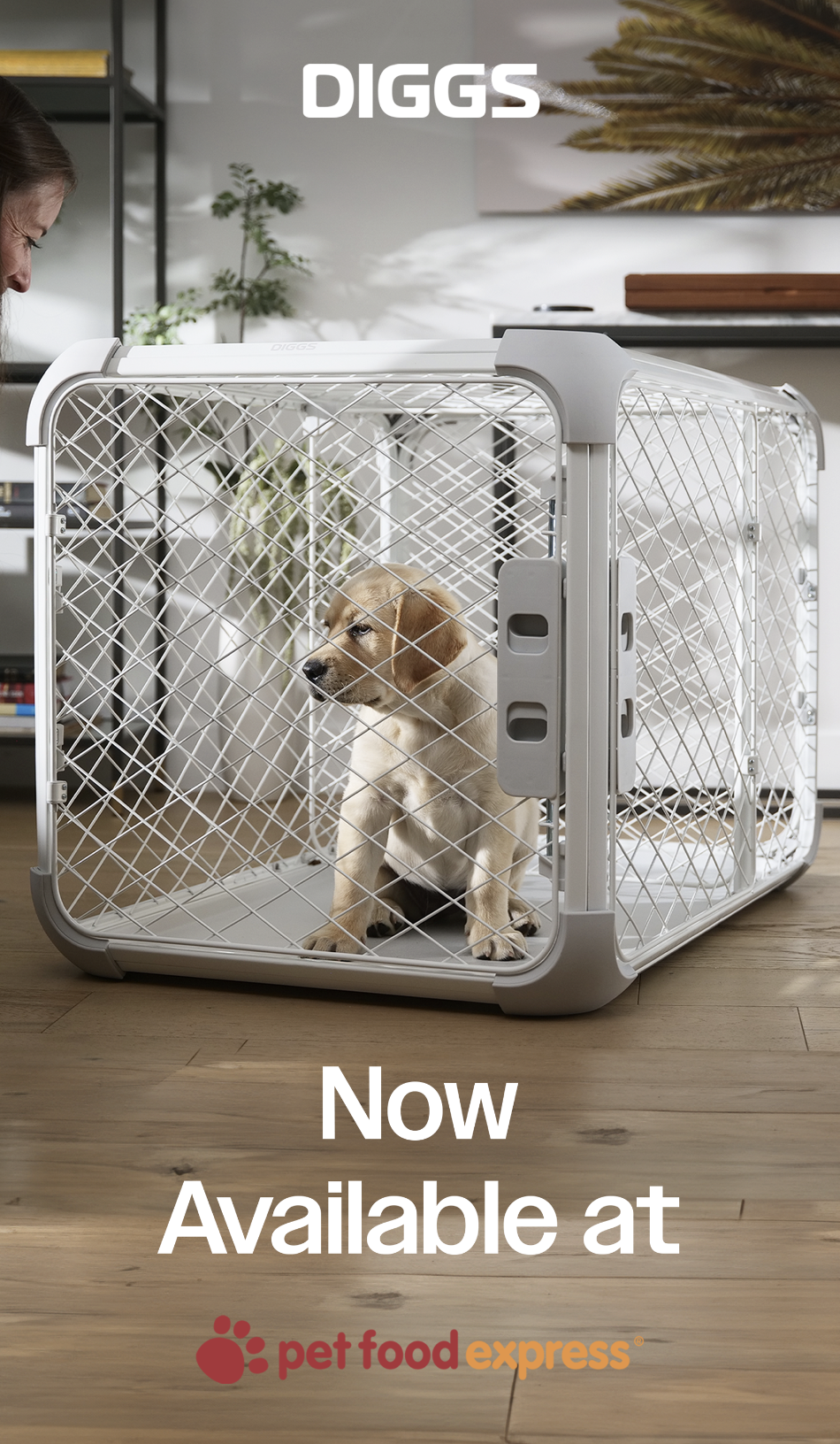 A puppy sitting inside a white metal dog crate on a wooden floor, with a woman in the background in a room decorated with plants and modern furniture. Text over the image reads 'DIGGS Now Available at pet food express.'