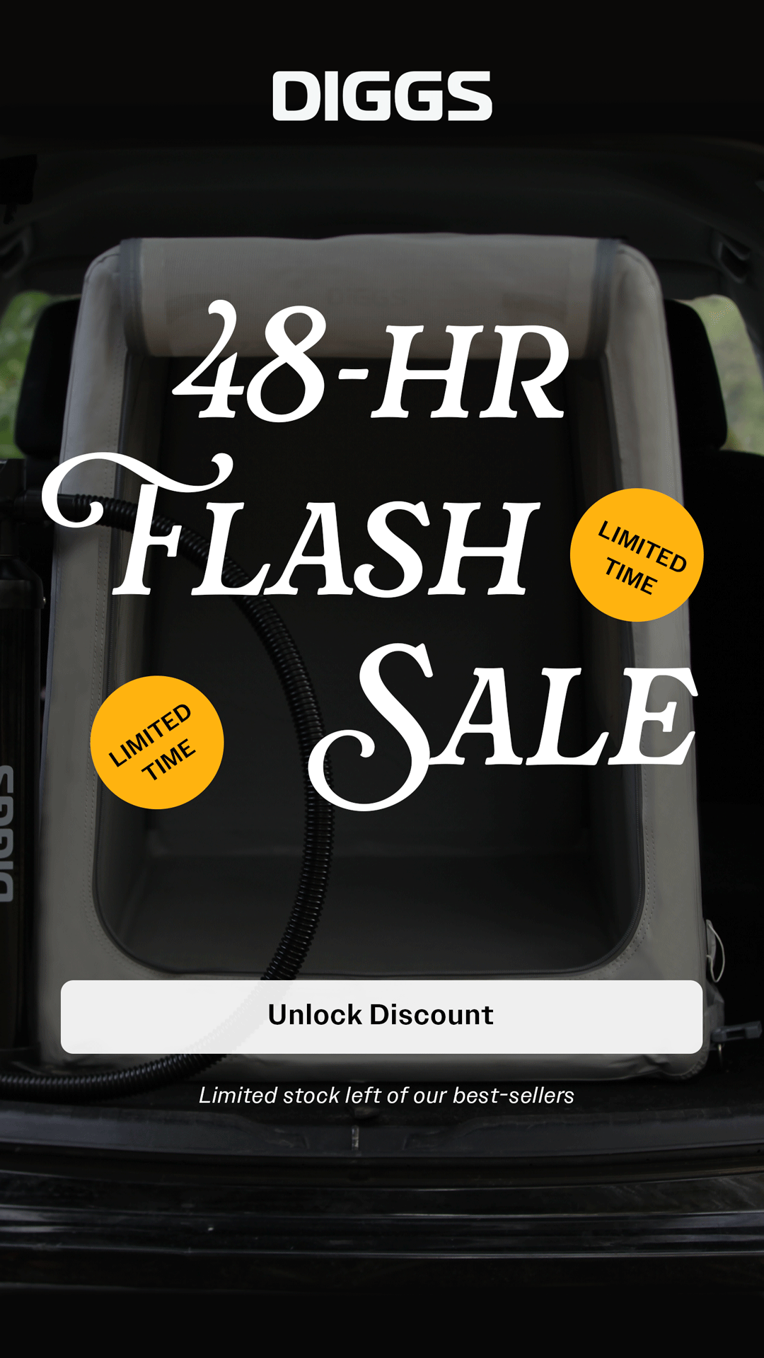 A promotional advertisement for a 48-hour flash sale on Diggs pet products, with limited stock and time, offering an unlock discount.
