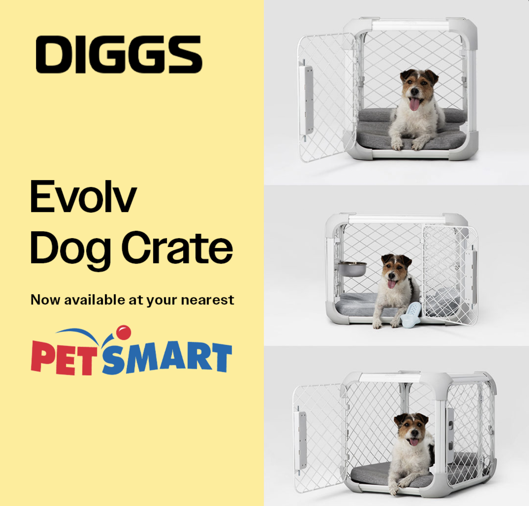 Advertisement for Evolv Dog Crate featuring three images of a small dog inside the crate, showing different configurations and accessories, with text promoting it as available at PET SMART.