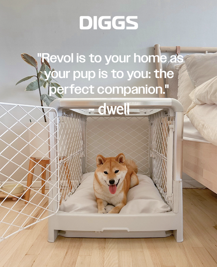 A dog is sitting inside a white pet crate with the door open, on a white cushion. There is a plant in a white pot on a small wooden table to the left, a bed with cream-colored bedding on the right, and a light blue wall in the background. The image includes text that reads: "DIGGS" at the top and a quote: "Revol is to your home as your pup is to you: the perfect companion." underneath.