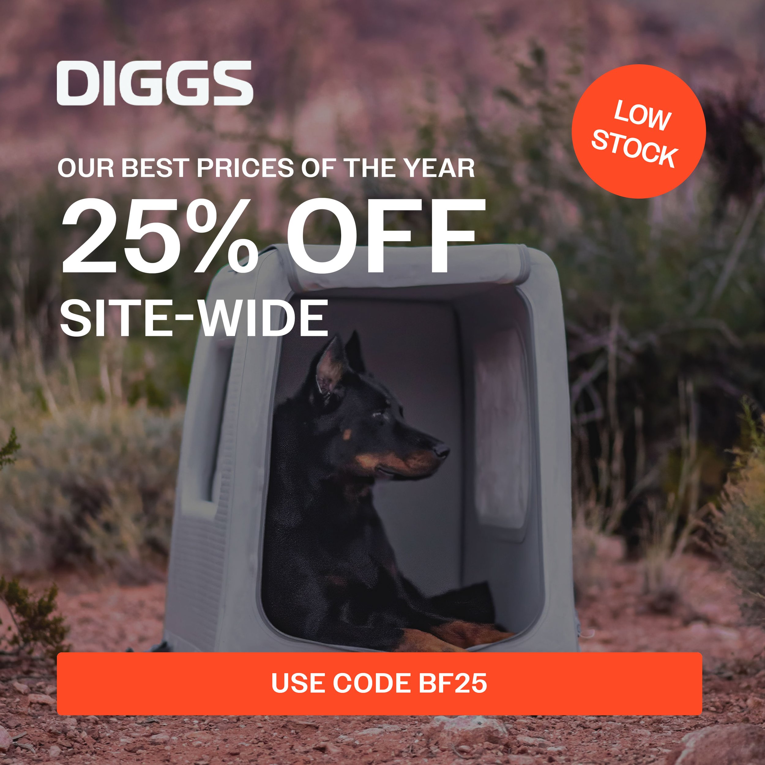 A black and tan dog inside a gray pet carrier in an outdoor desert-like setting with bushes and pink flowers.