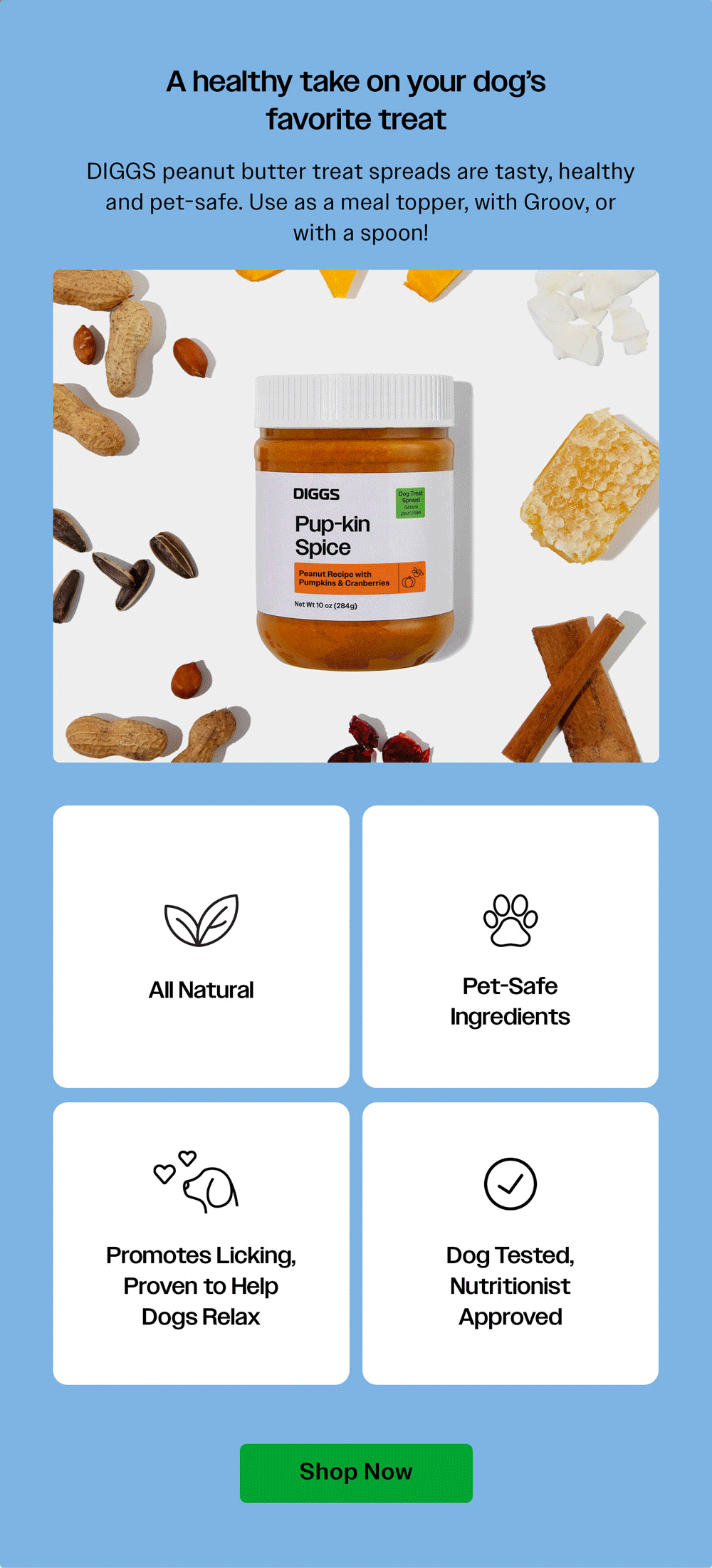 A promotional graphic for DIGGS peanut butter treat spread for dogs, labeled puppy-kin spice with pumpkin and cranberries, surrounded by ingredients such as peanuts, pumpkin, cranberries, cinnamon sticks, coconut flakes, and pumpkin spice