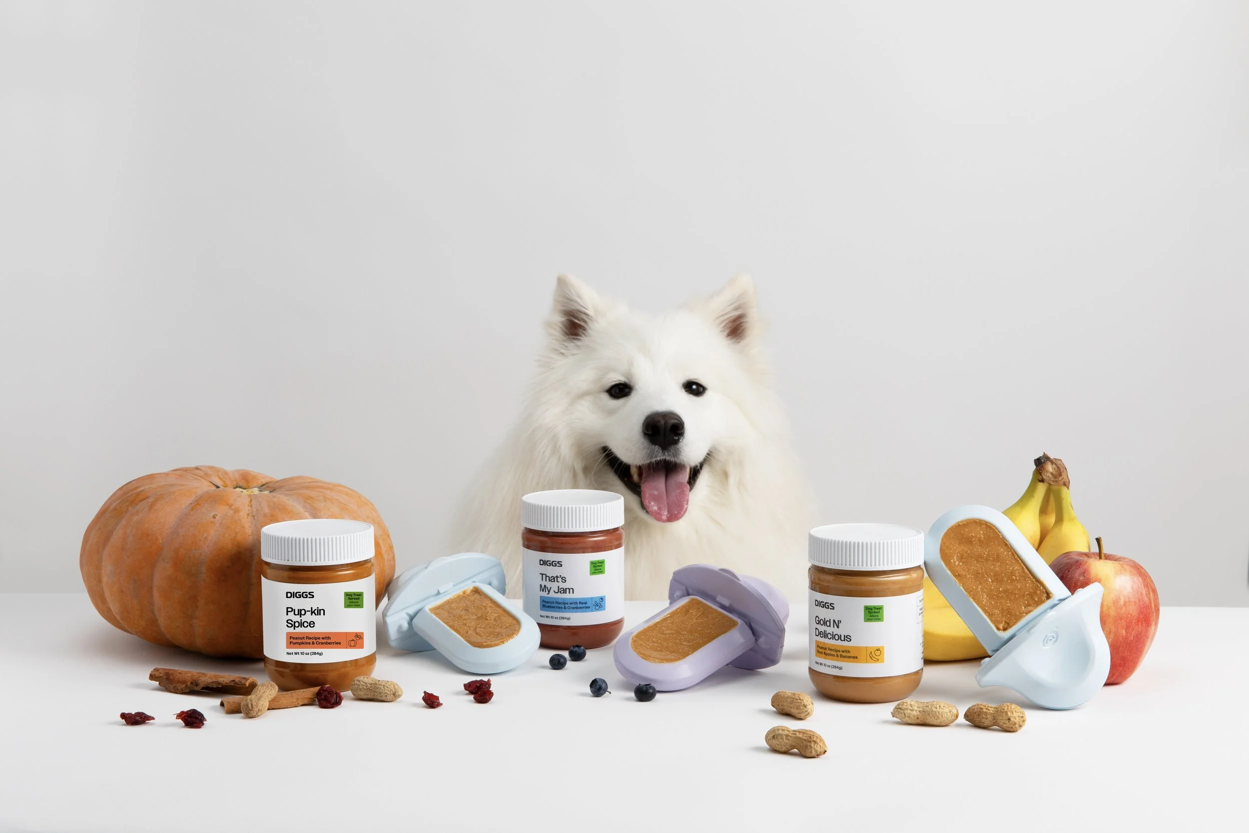 A fluffy white dog in front of various jars of baby food, fruits, and snacks on a white surface and plain background.