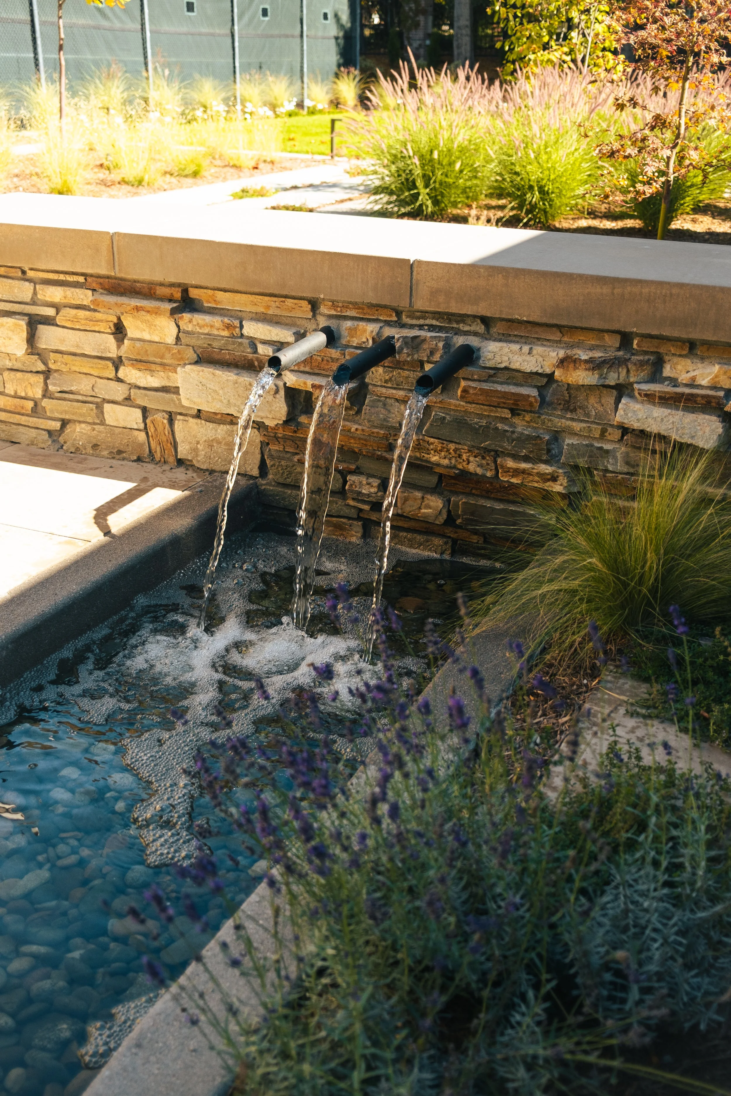 JH Rear Waterfeature.jpg