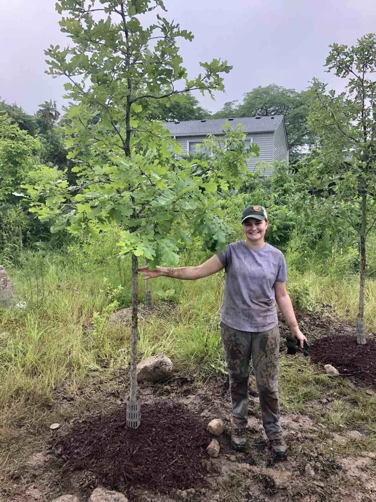A smiling young woman wearing a cap and muddy clothes planting a small tree in a garden or yard, with other trees and a house in the background.