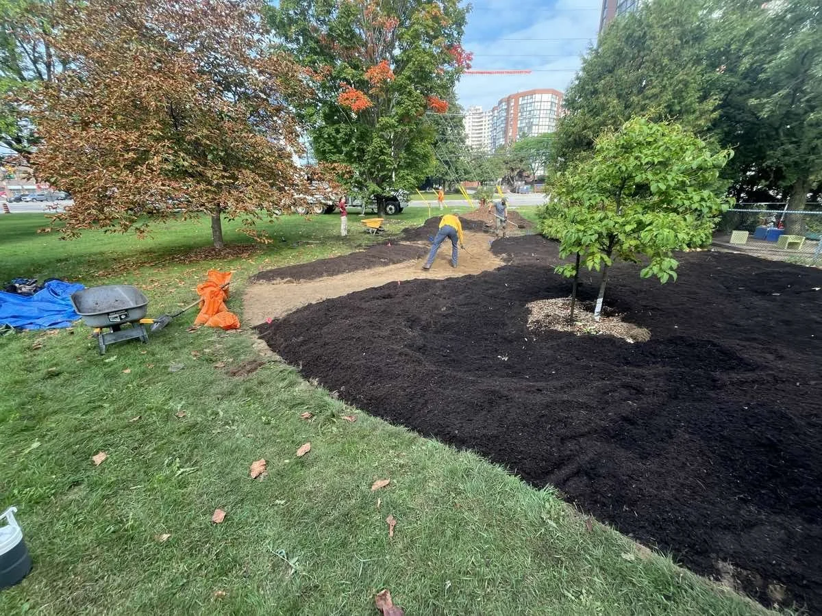 native-plant-installation-mississauga-2025-2.jpg