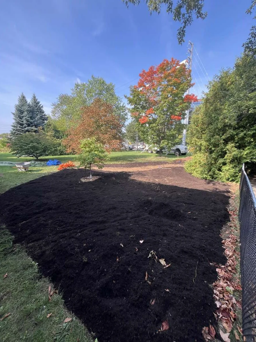 native-plant-installation-mississauga-2025-3.jpg