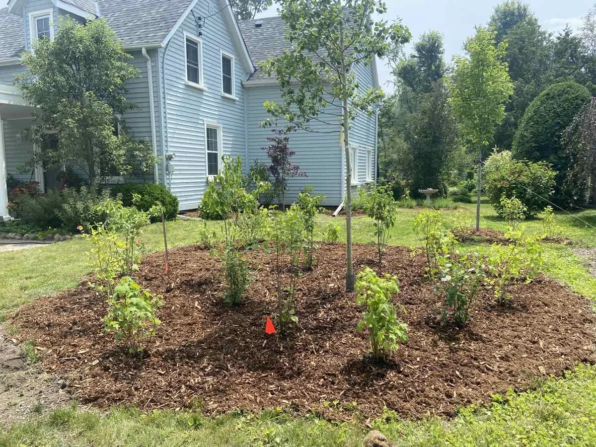 native-plant-garden-uxbridge-ontario-2024.jpg
