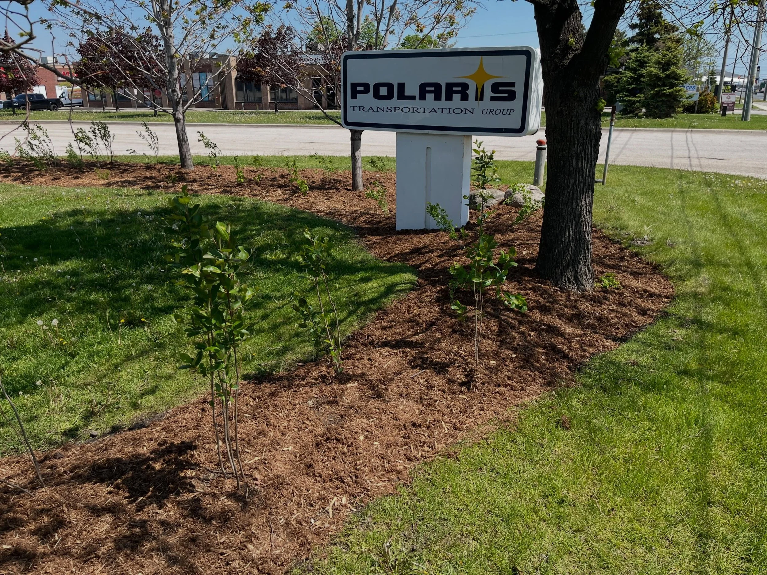We brought some paradise to this pavement 🌳
Last week, we completed a native planting project designed to support long-term ecological health, climate resilience, and biodiversity at a commercial property in Mississauga.
Using native species selecte