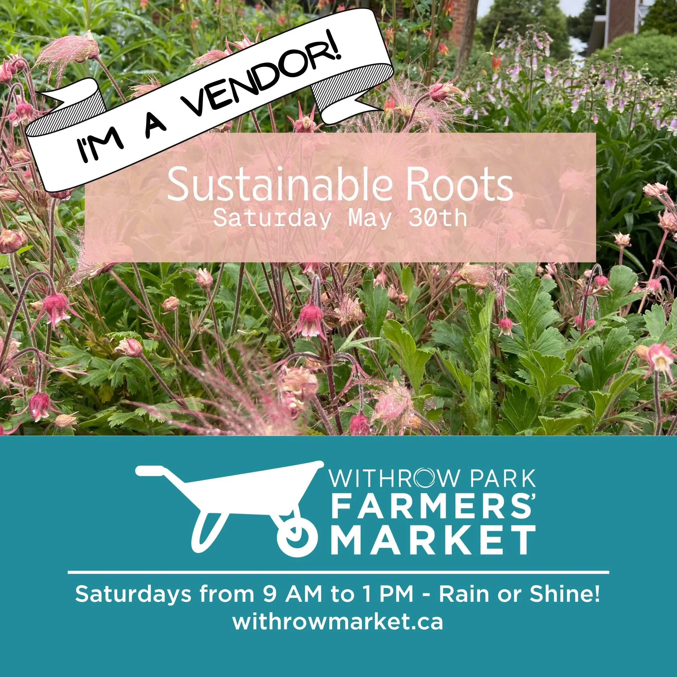Catch us at @withrowmarket tomorrow from 9-1 🦋
We will have a variety of native plants ready for your pollinator garden 🪴
We love this Toronto market so much! So many great vendors and always a lovely time 💚