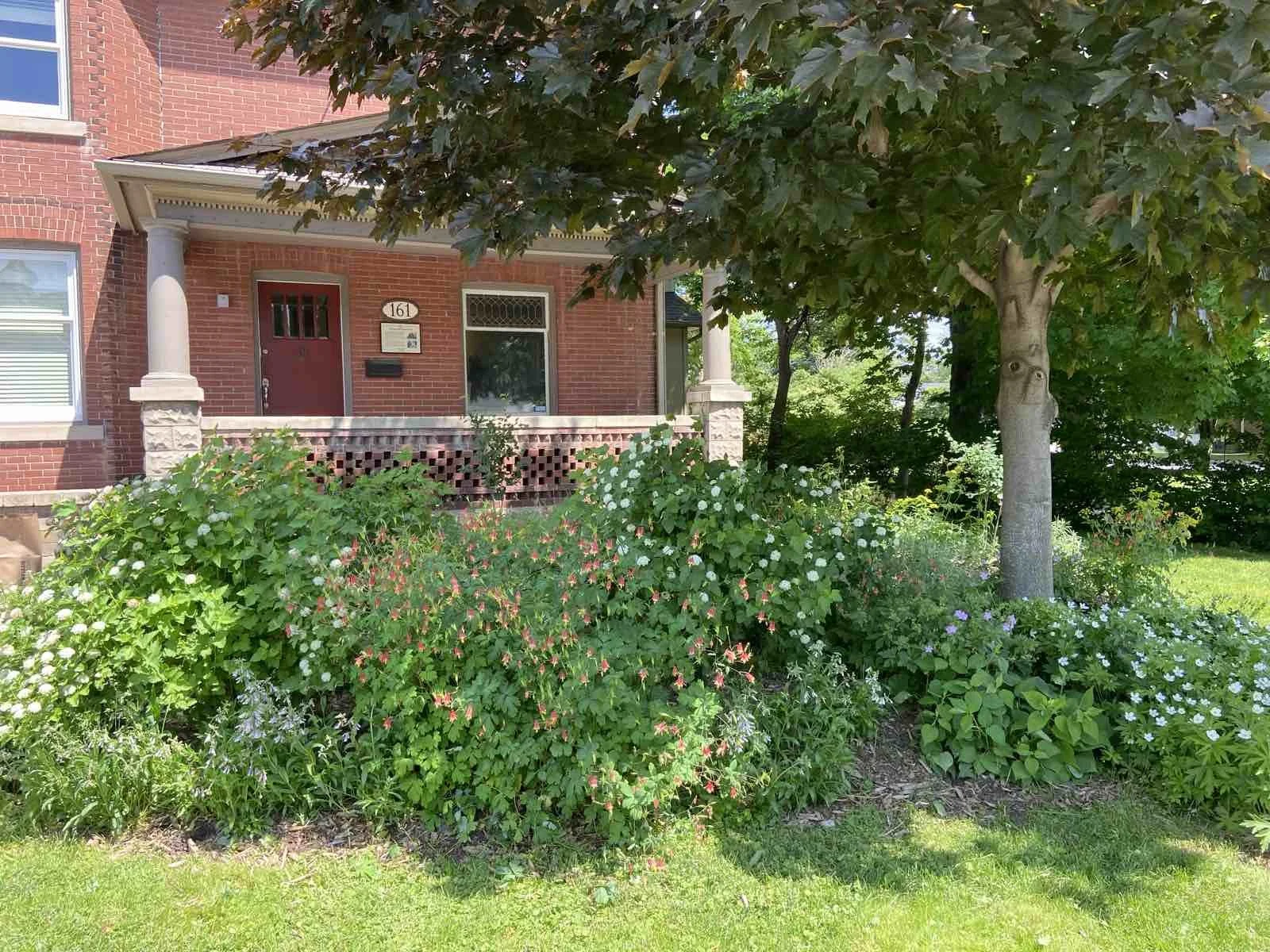 Front yard with a brick house, green bushes, a tall tree with a face-like knot, and colorful flowers.