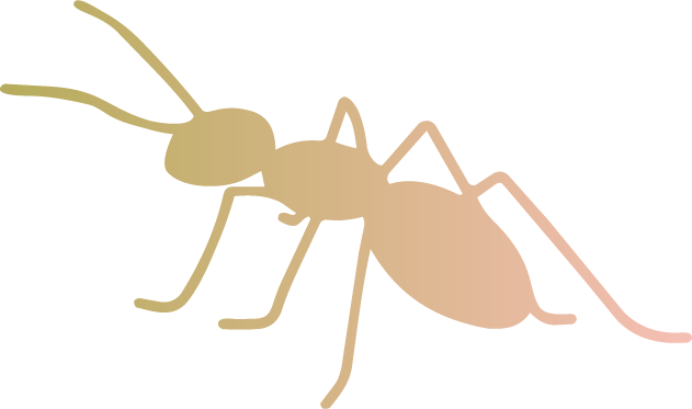 A peach and green colored ant illustration