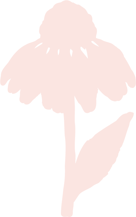 Silhouette of a pink flower with a single leaf on a black background.