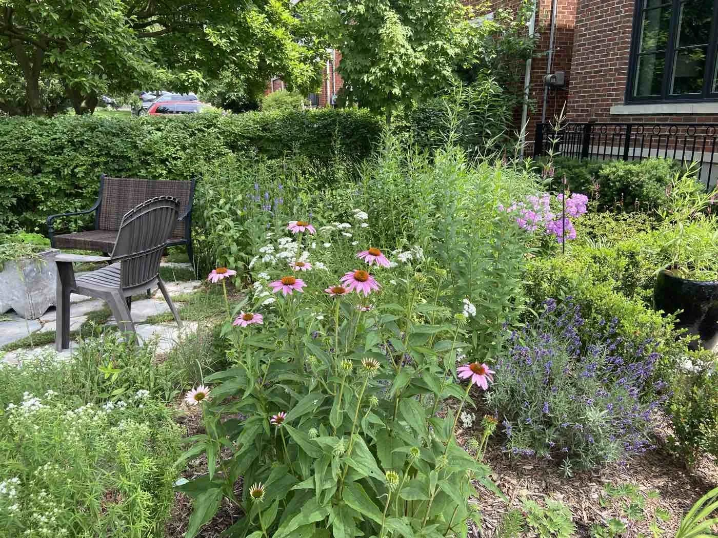 A lush backyard garden with colorful flowers, shrubs, and trees. Two chairs are placed on a stone patio among the greenery, with a brick house and window in the background.