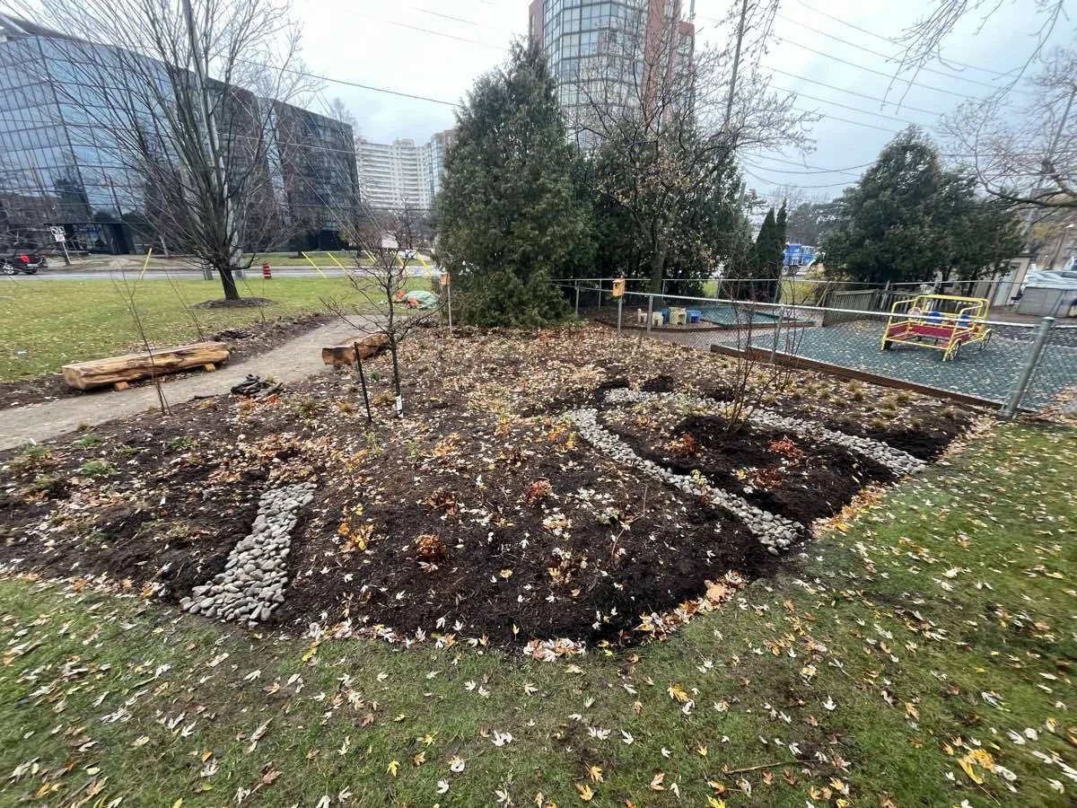 native-garden-fall-mississauga-ontario-2025.jpg