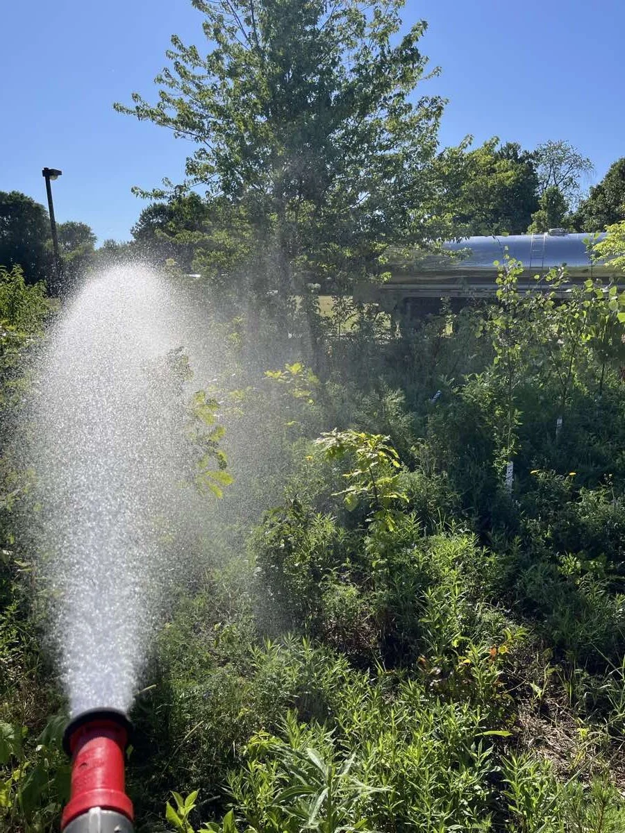 city-of-toronto-native-plant-watering-2.jpg
