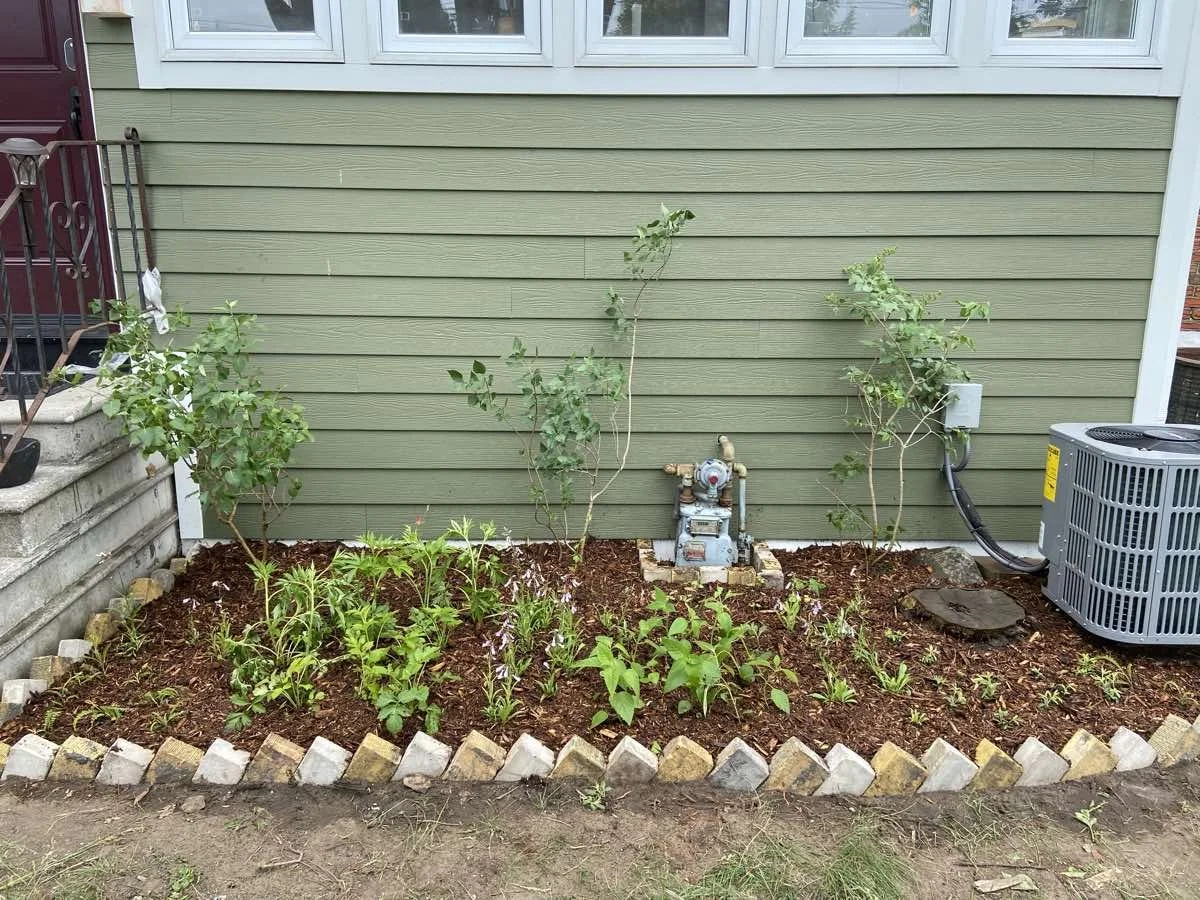 native-garden-danforth-east-york-toronto-2022.jpg