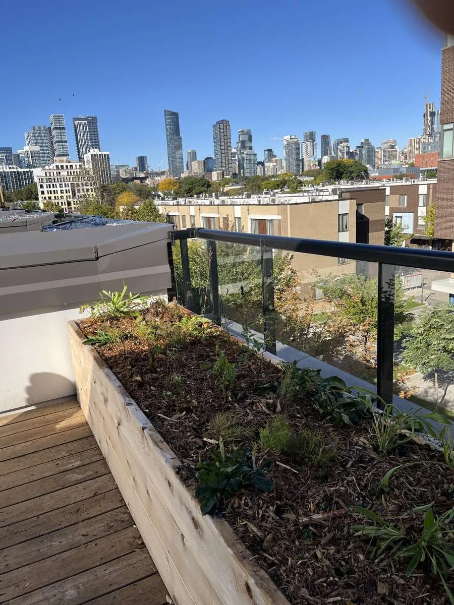 Toronto / Regent Park - 2025