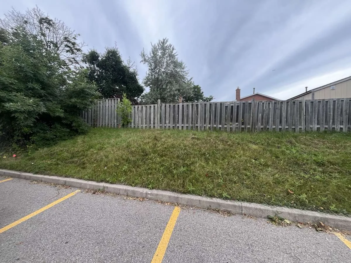 before-habitat-restoration-mississauga-2024.jpg
