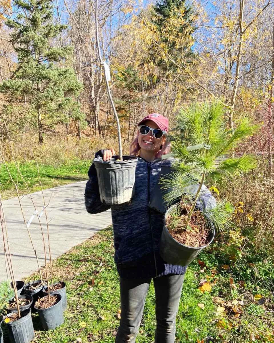 A woman smiling while holding two potted trees, one conifer and one young pine, outside in a sunny park with trees in the background.