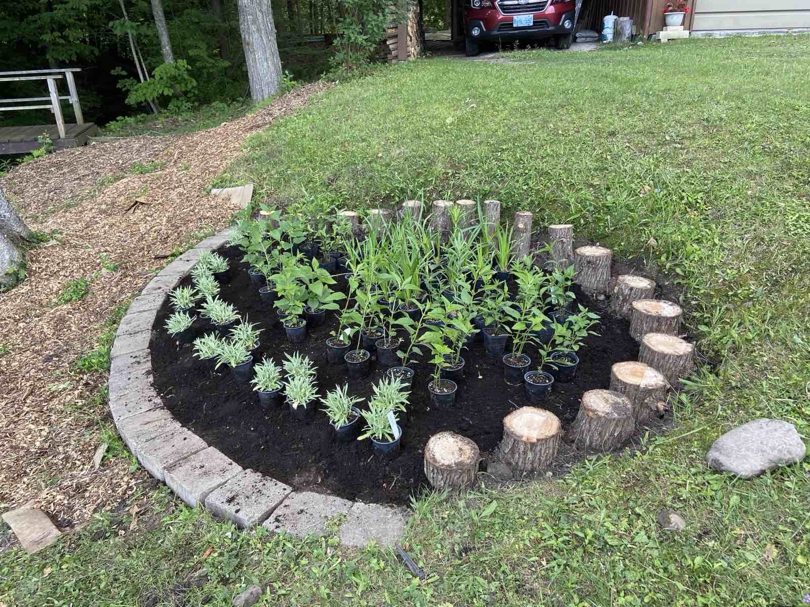 A circular garden bed with young plants and flowers surrounded by a border of wooden logs. The area around the bed is grassy with a mulch path on one side. In the background, there is a parked red SUV and a small shed with logs stacked nearby.