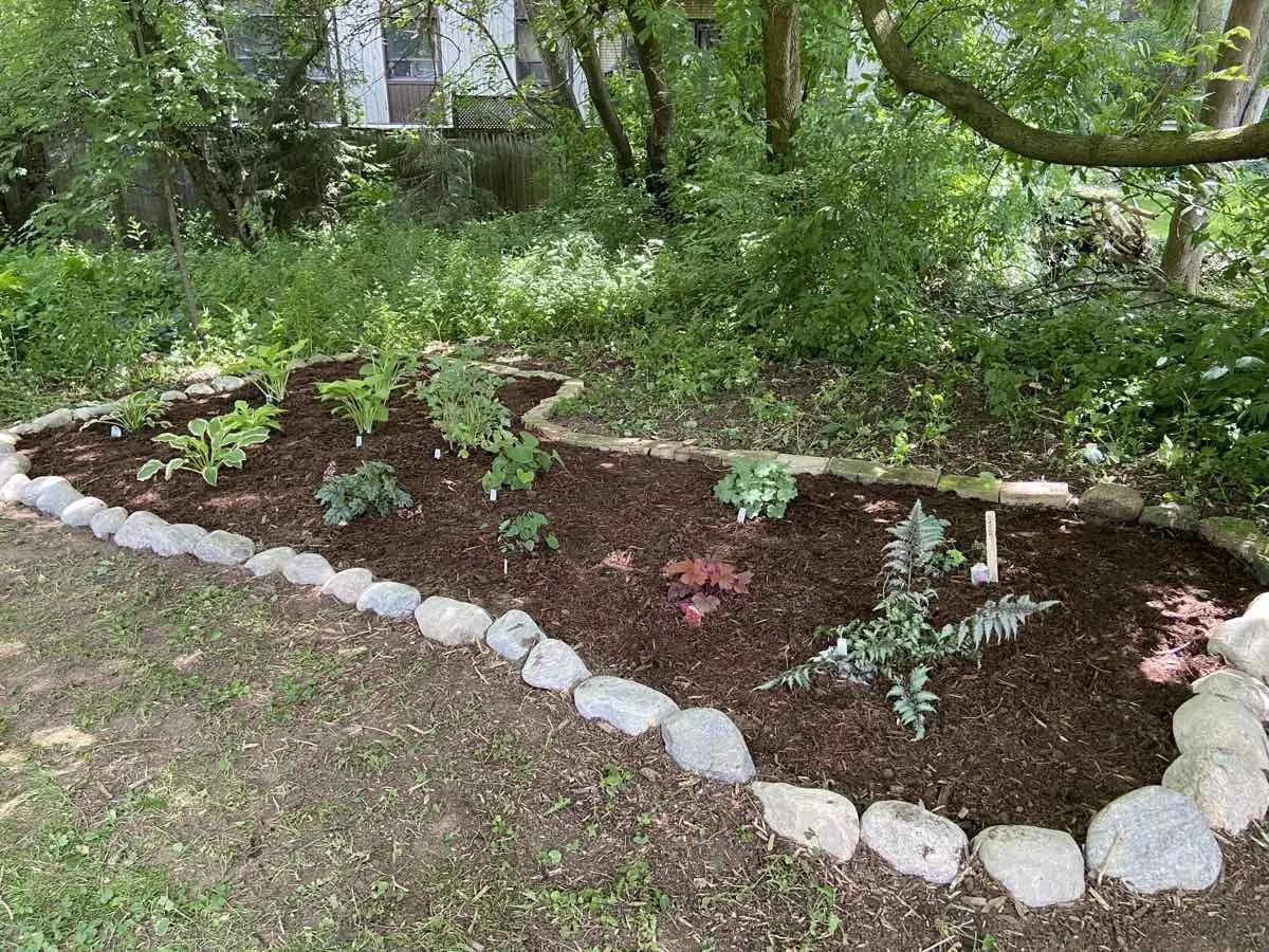 native-garden-oconner-toronto-2024.jpg