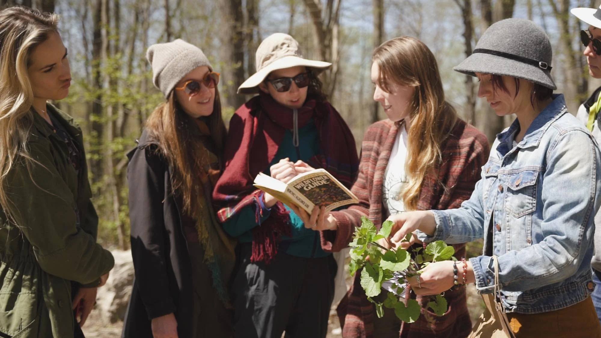 Group of women in casual outdoor clothing and hats examining plants in a forest during daytime.