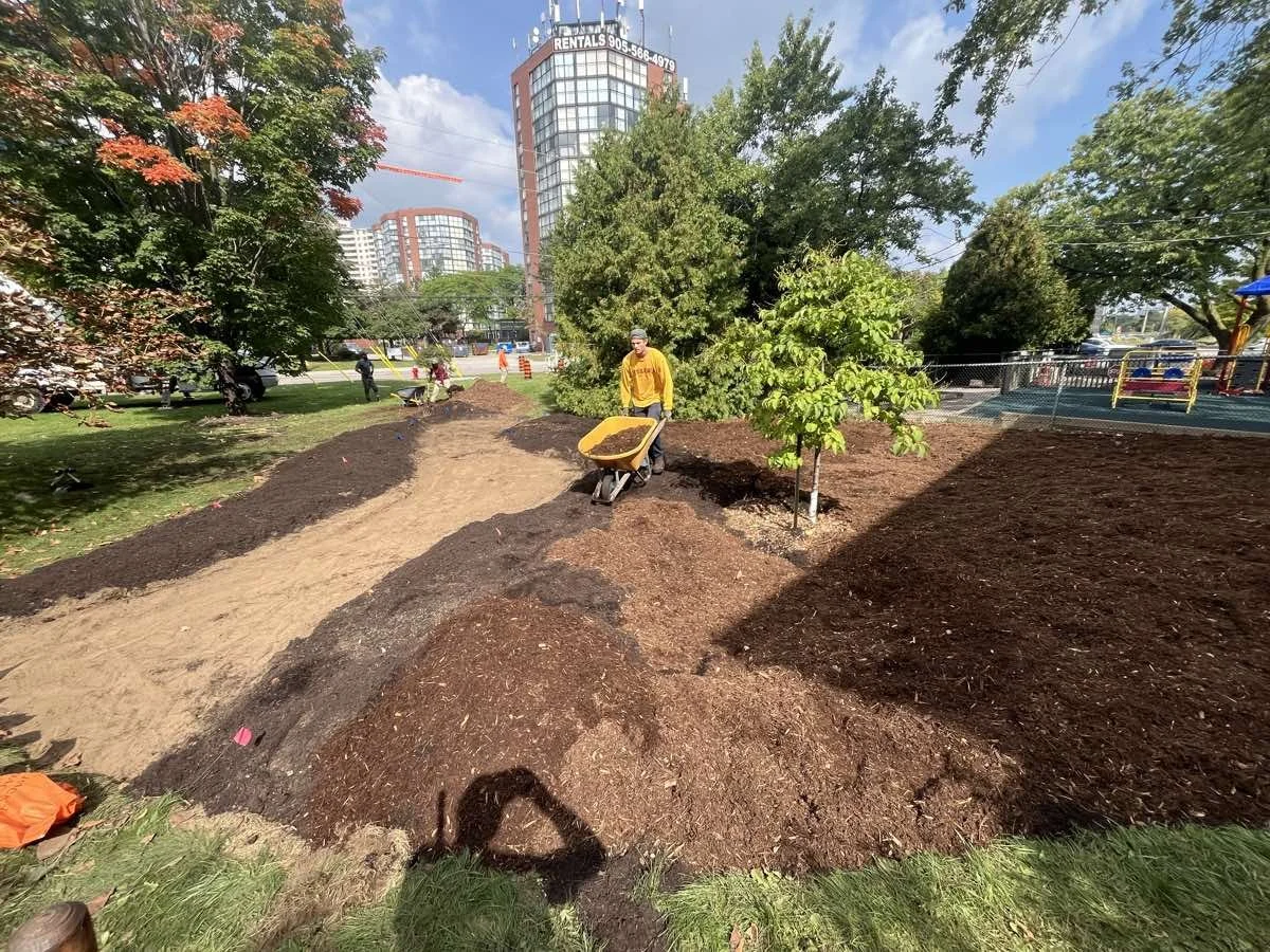 credit-valley-conservation-native-plants-2025.jpg