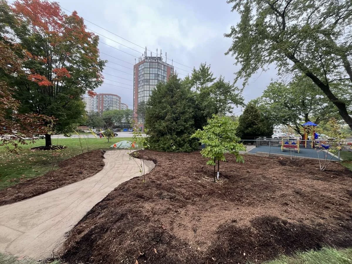 native-plant-installation-mississauga-2025-5.jpg
