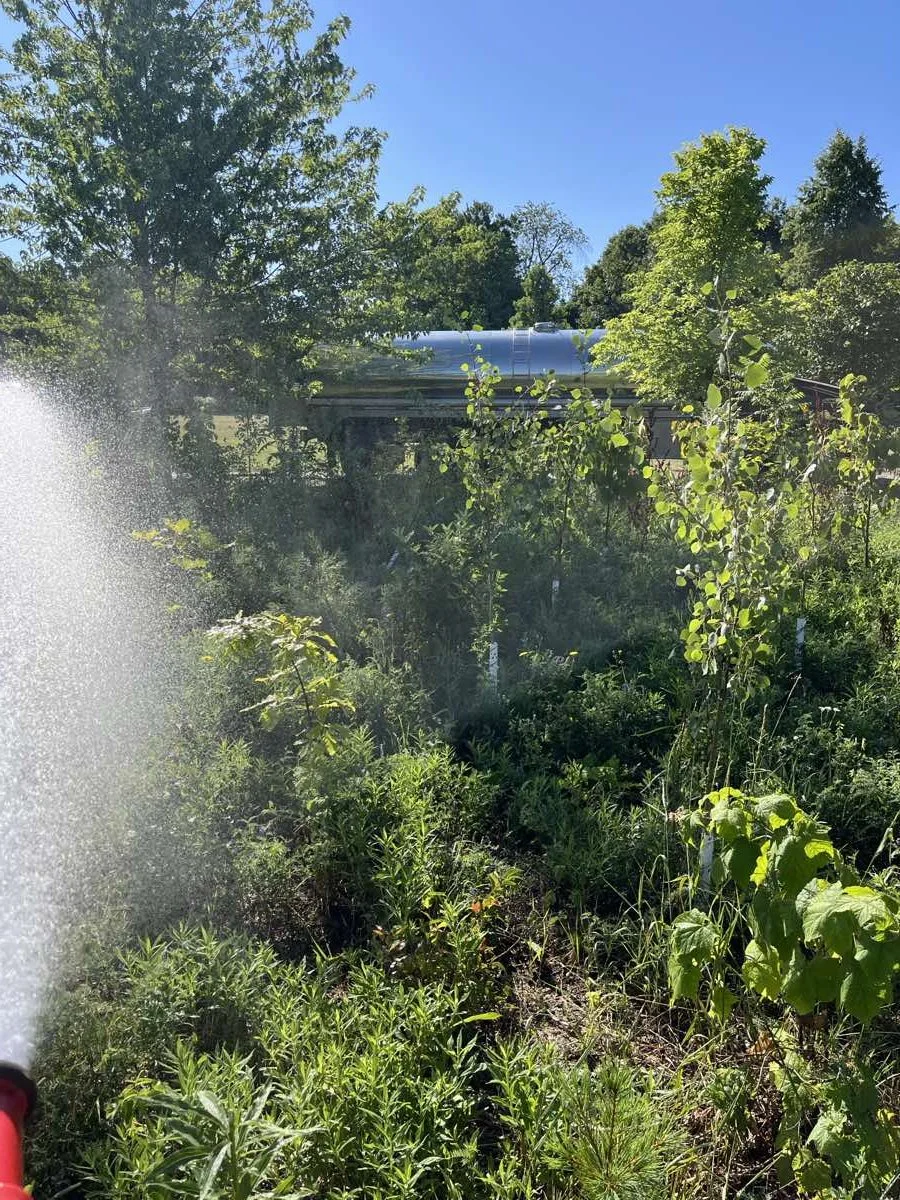 city-of-toronto-native-plant-watering-3.jpg