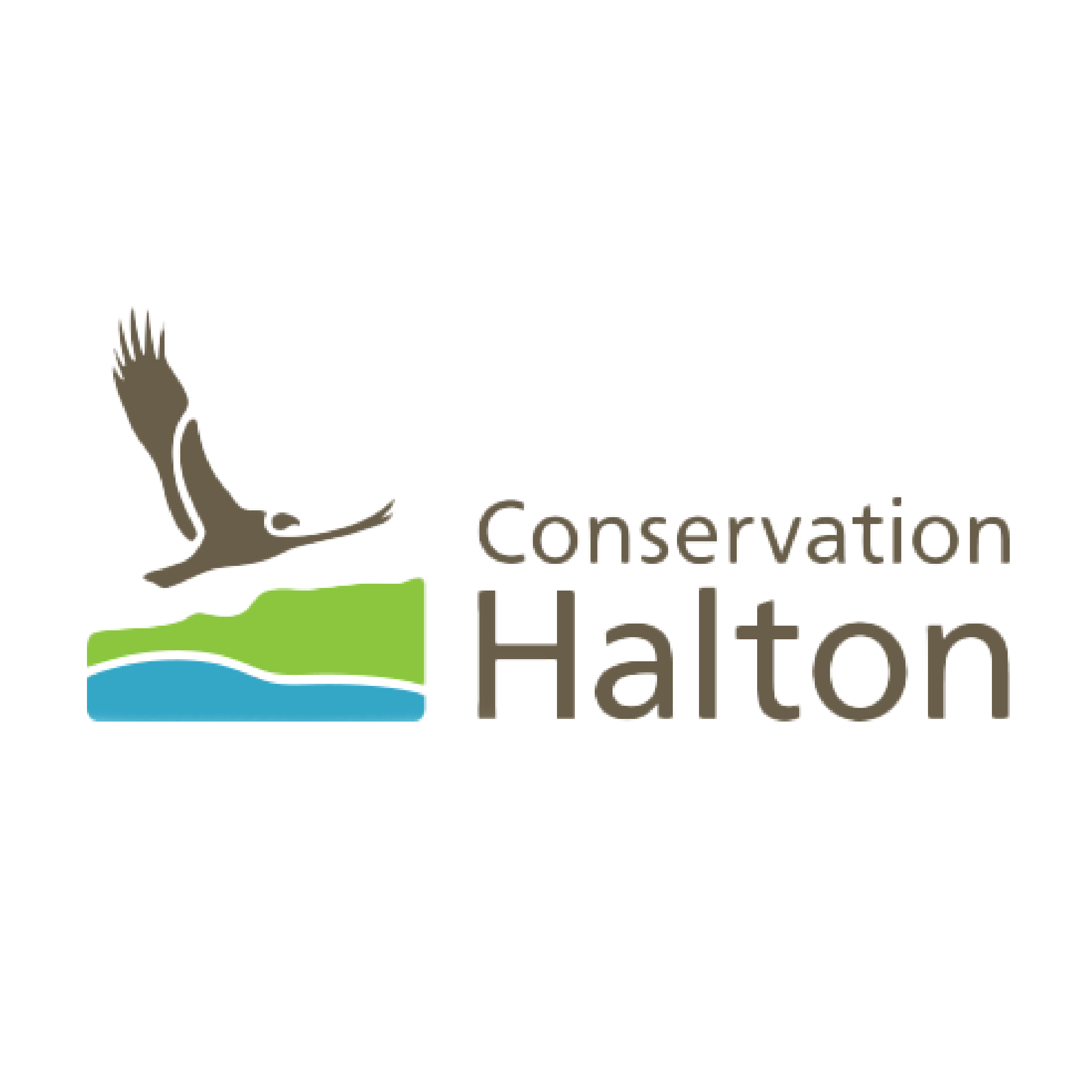 Logo of Hatton Conservation, featuring a stylized animal outline and green and blue wave elements.