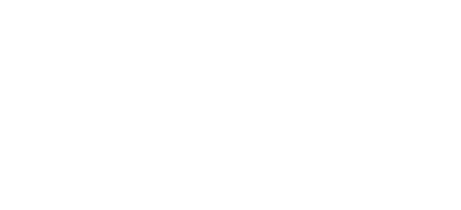 Center for Wellness Chiropractic Care