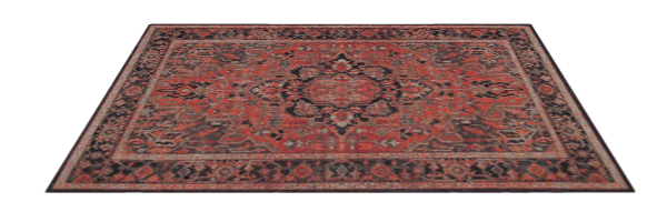 Susa Rug 5.png