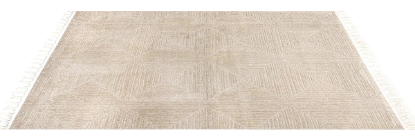Timothy Textured Rug 9x12 5.png
