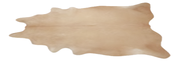 Tanner Tan Hide Rug 5.png