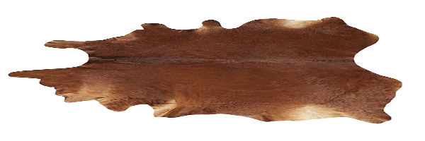 Brayden Brown Hide Rug 5.png
