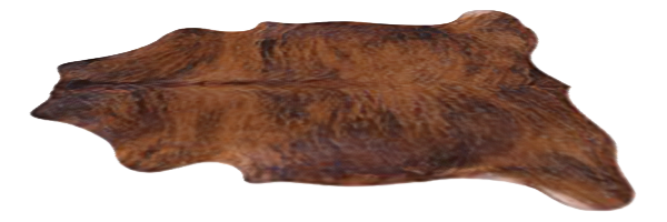 Brady Brindle Hide Rug 5.png