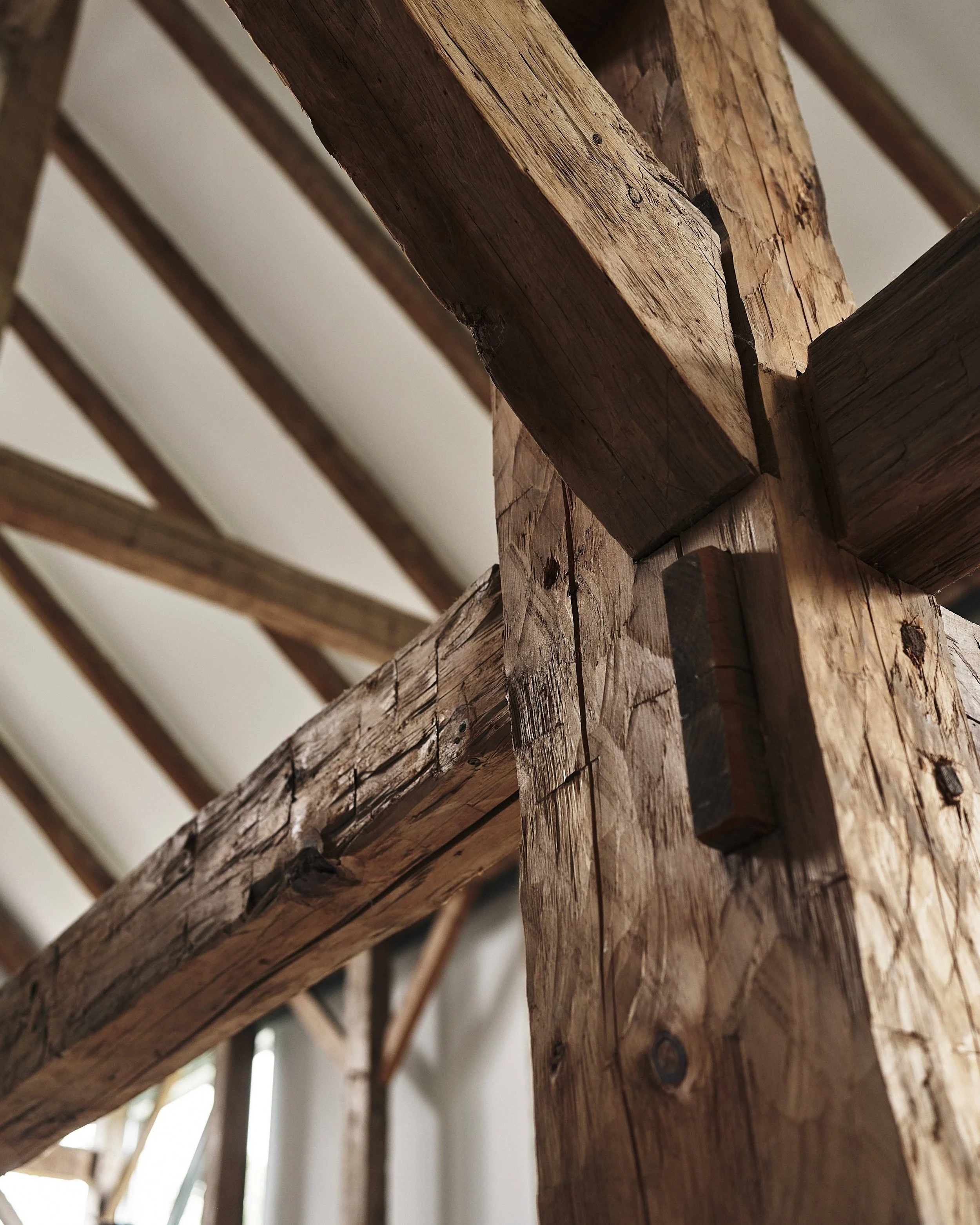 PHOTOGRAPHY | ADRIAN GAUT