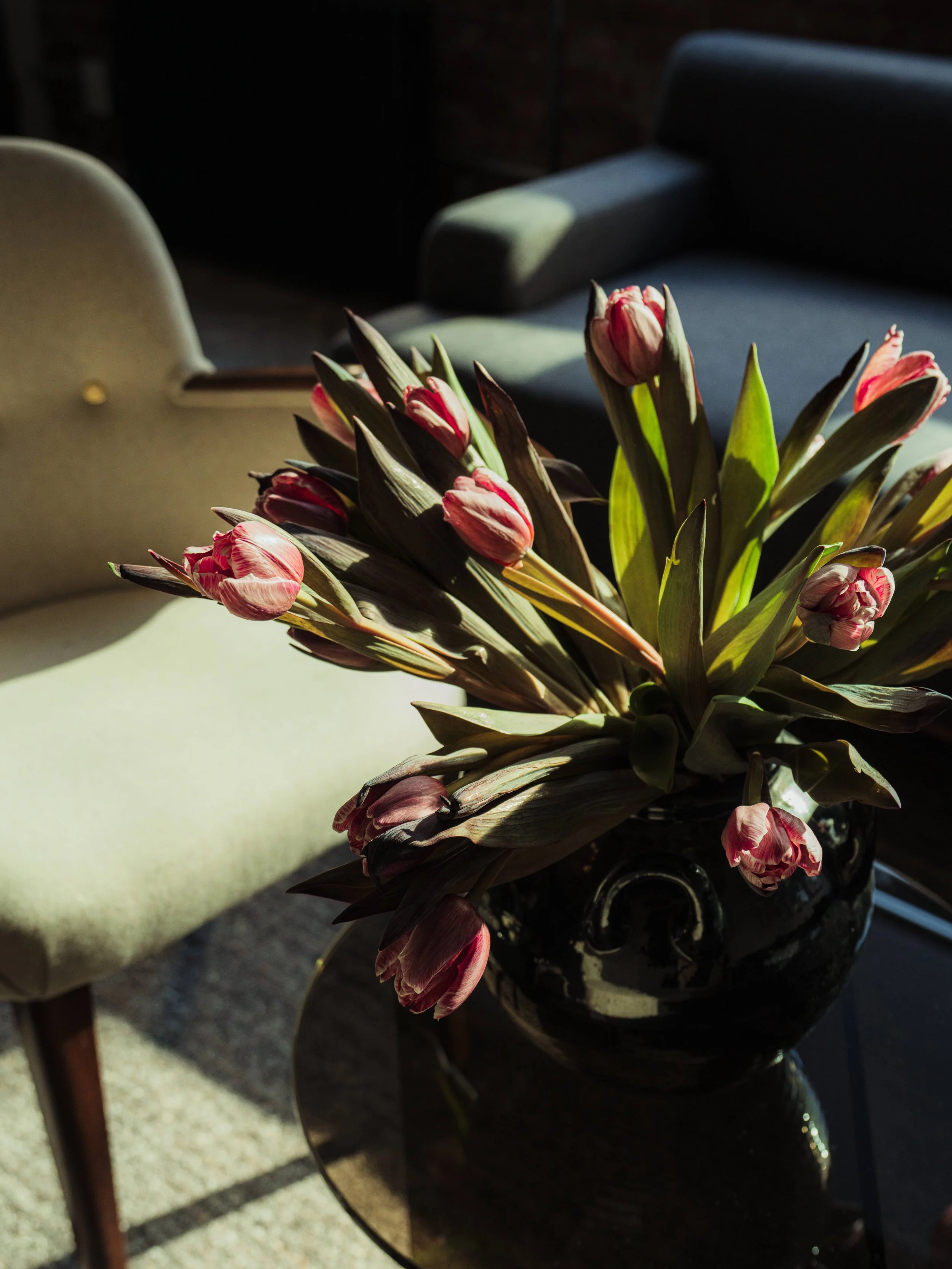 PHOTOGRAPHY | MATTHEW KAPPAS