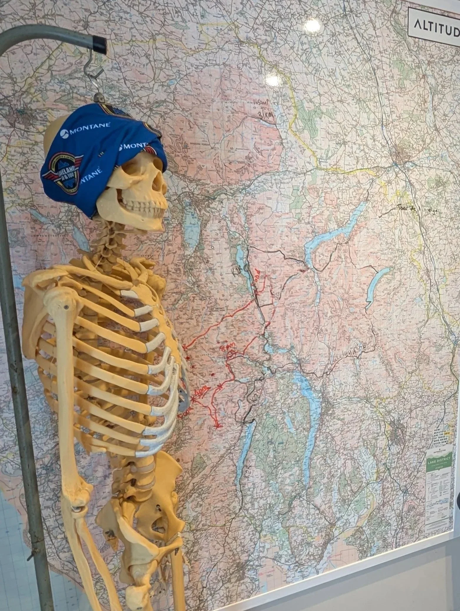 Skeleton standing next to a detailed topographic map with marked routes and elevations.