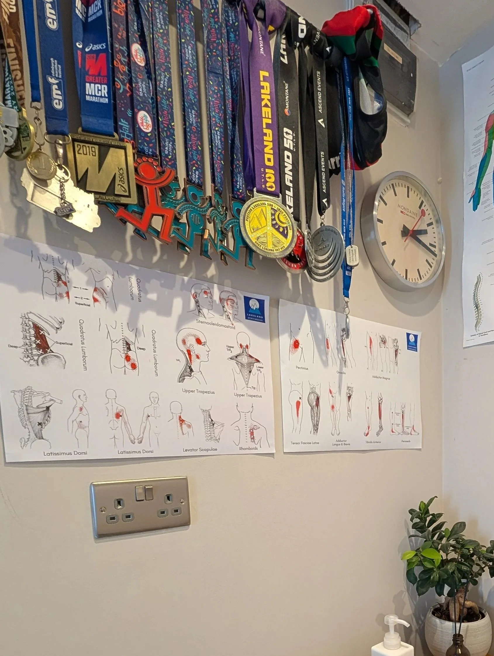 A wall display with multiple medals, medals ribbons, and a hanging clock. Two posters with diagrams of human muscle anatomy are pinned below, and a potted plant with a white sanitizer bottle are on a surface below.