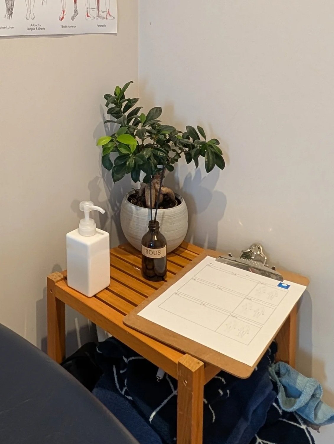 Wooden table with a potted plant, a bottle with a reed diffuser, a hand sanitizer dispenser, and a clipboard with papers on it. A wall with an anatomical chart is visible in the background.