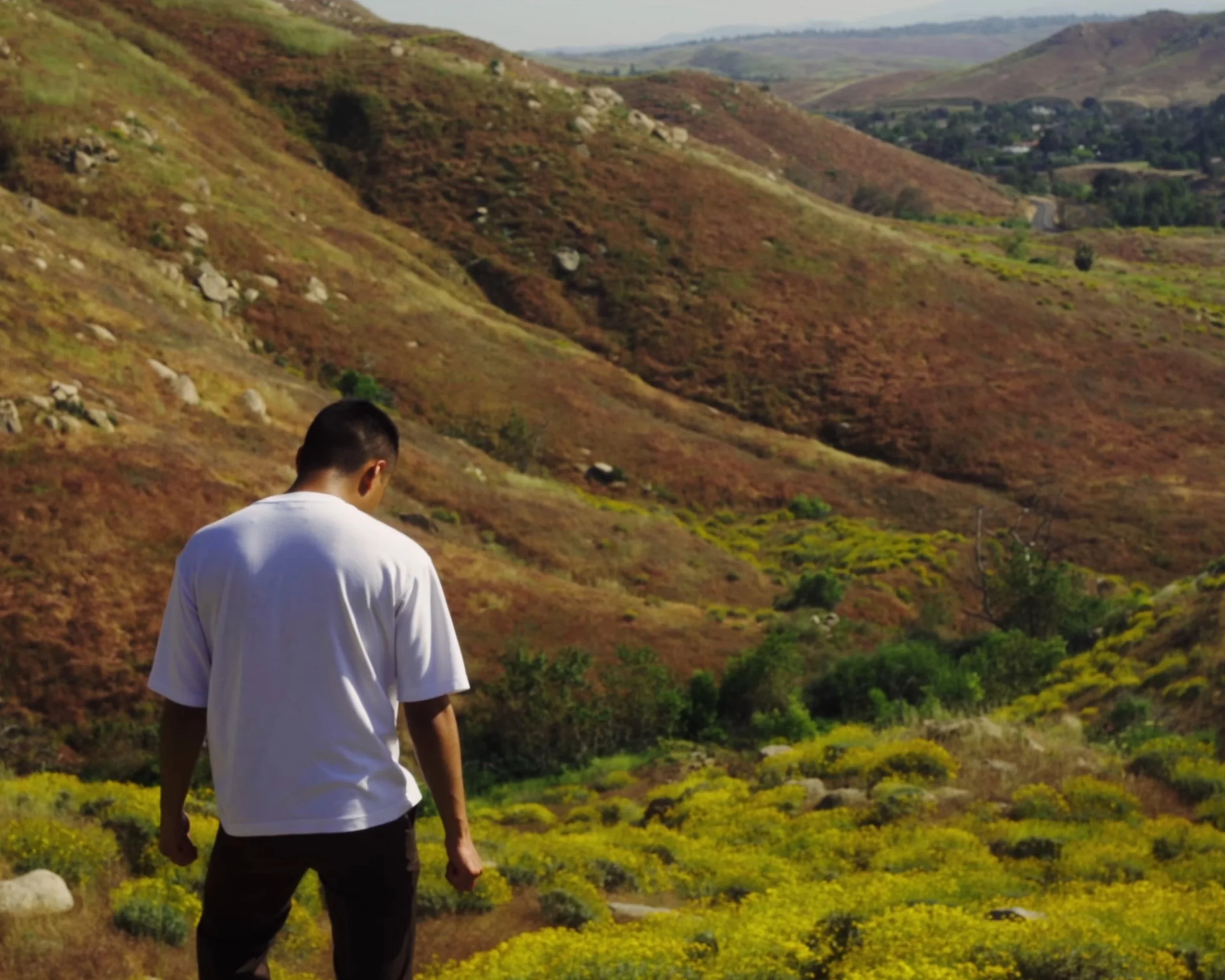 The Average Life of CHUN — Album Experience & Capstone Project