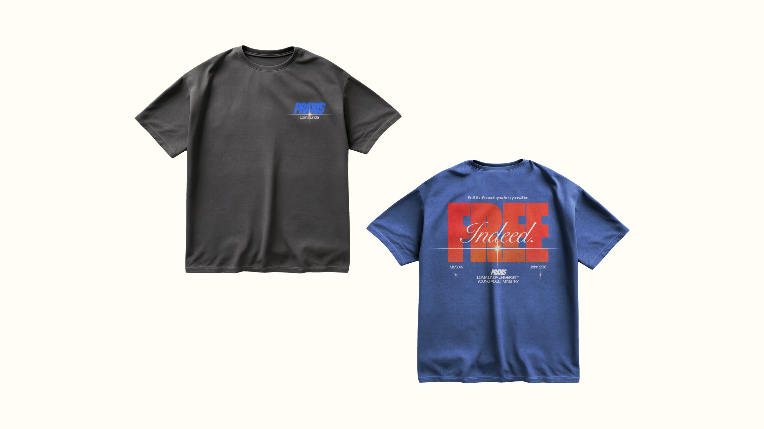 pyam t-shirts both colors.jpg